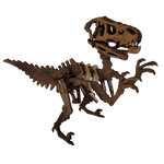 Velociraptor - 3D Model