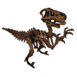 Velociraptor - 3D Model