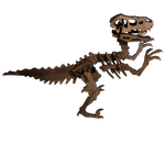 Velociraptor - 3D Model