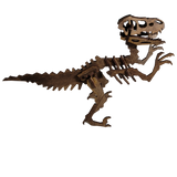 Velociraptor - 3D Model