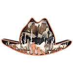 Cowboy Hat Multilayer Sign